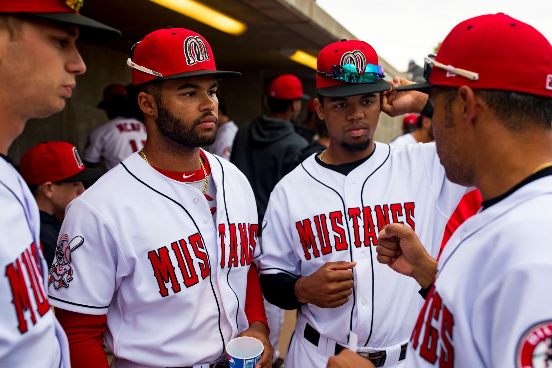 Mustangs vs. Chukars